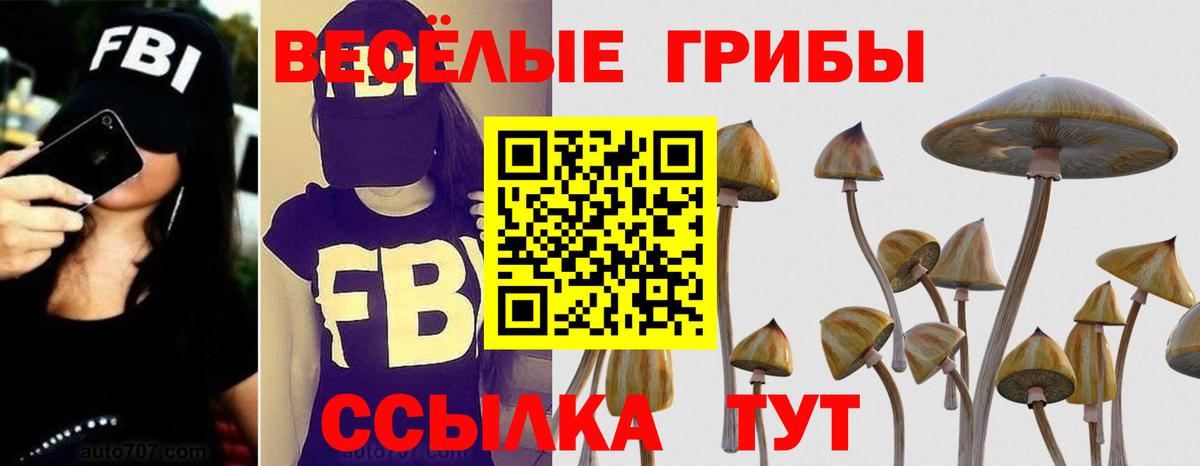 Псилоцибиновые грибы Magic Shrooms  Вход с VPN  Реж 