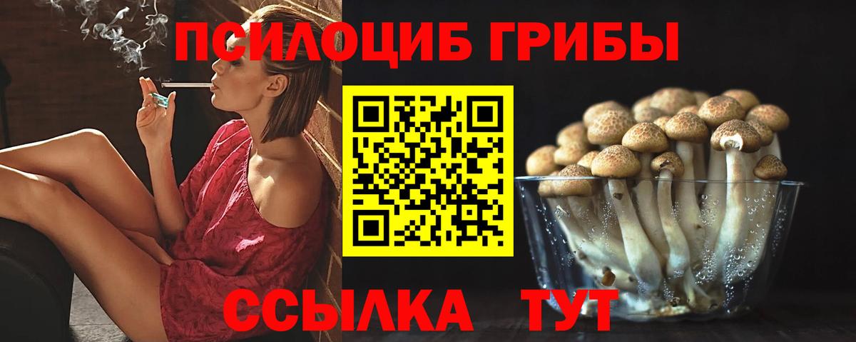 Галлюциногенные грибы GOLDEN TEACHER Реж